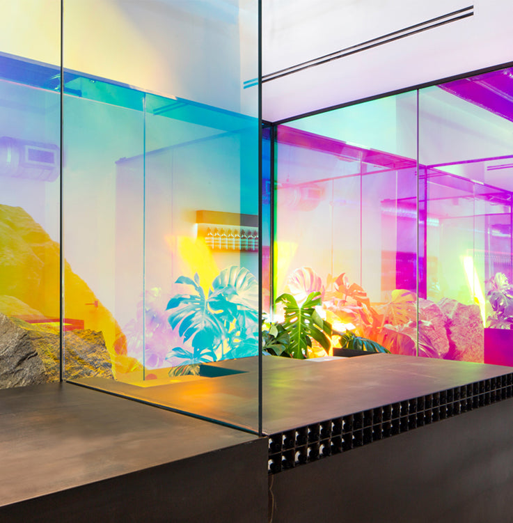 ASLAN® SE 70 Vinyle ColorShift