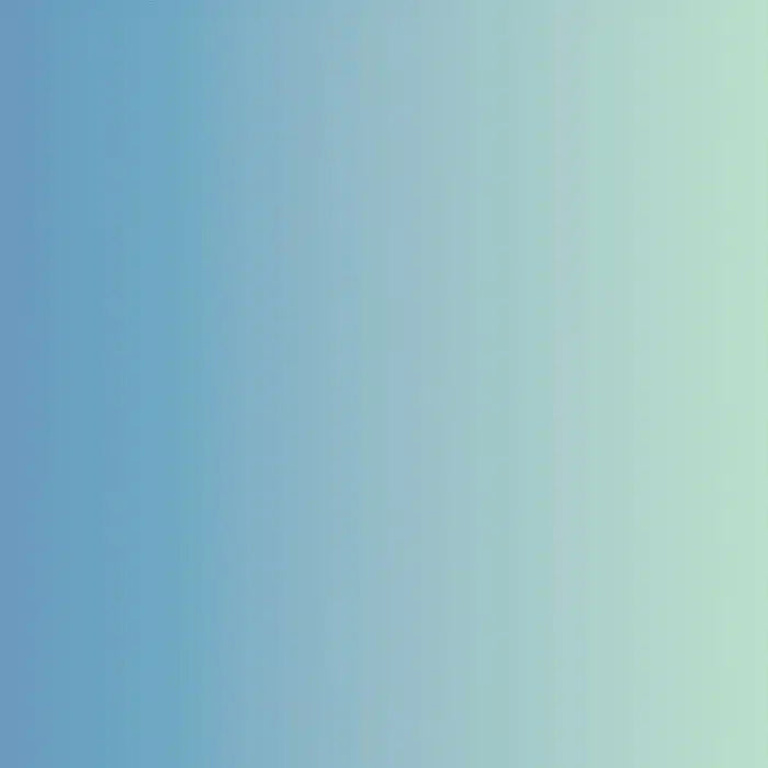 ASLAN® SE 70 Vinyle ColorShift