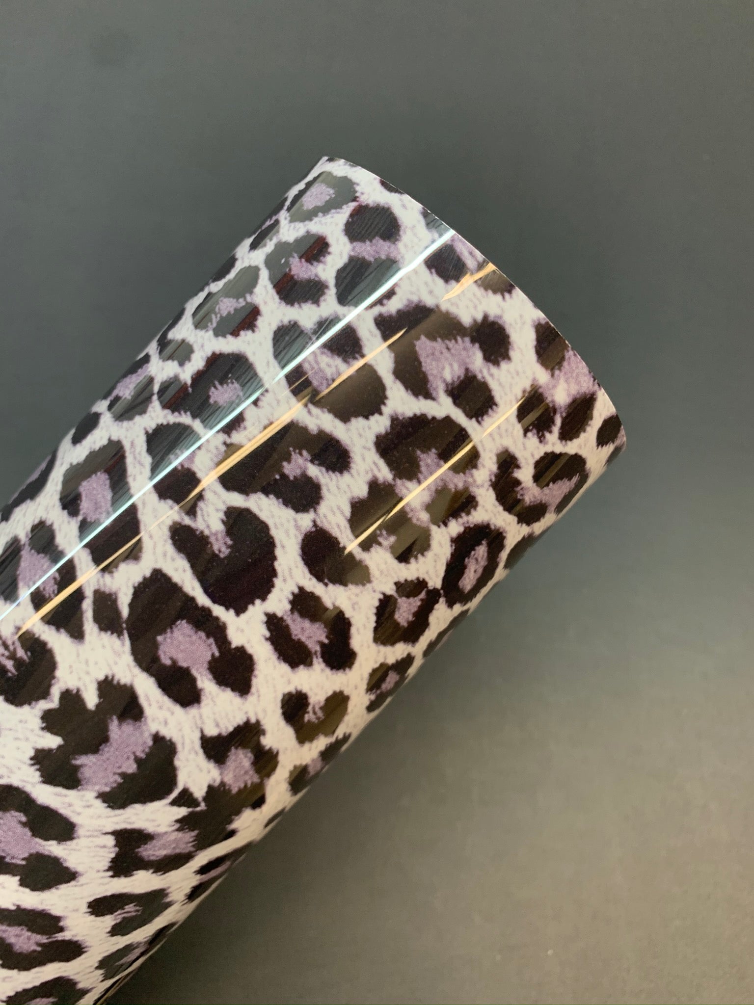 Léopard des neiges HTV