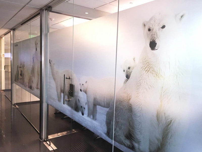 ASLAN® DFL 302 Print Media - 3.2 mil, 7-Year Ice Look Dry apply with Air Release
