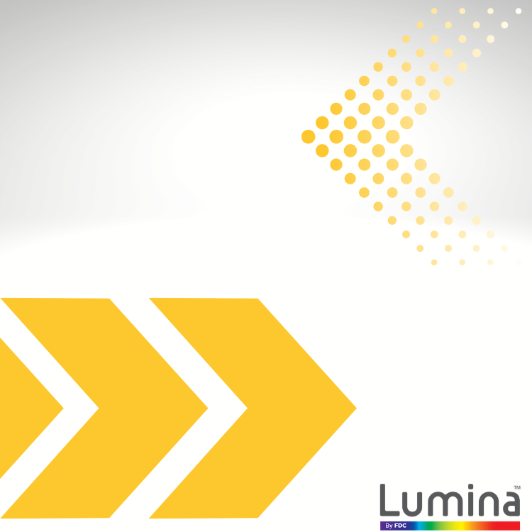 Lumina® 2100 24" x 10 Yds - Premium Cast Vinyl