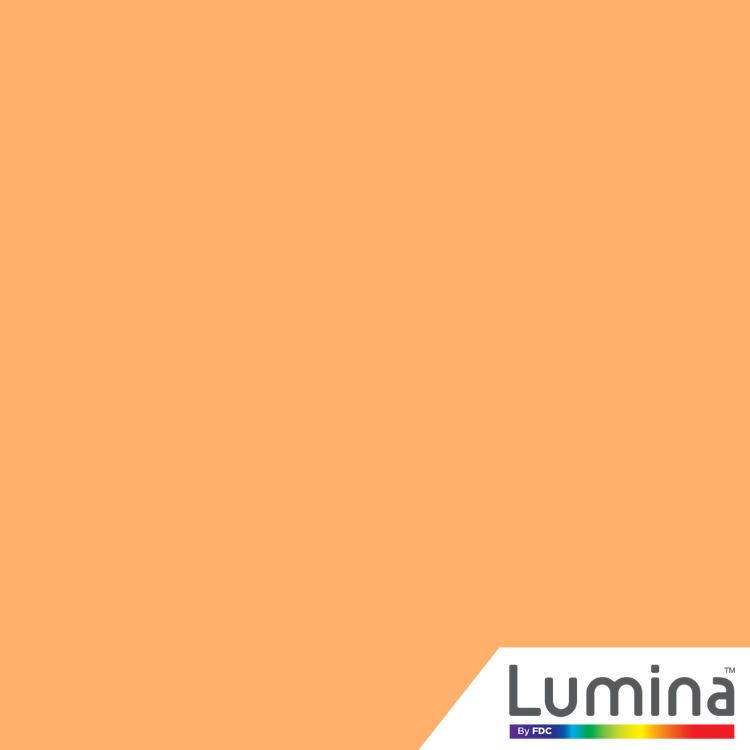 Vinyle adhésif intermédiaire Lumina® 4200 de 24 po 