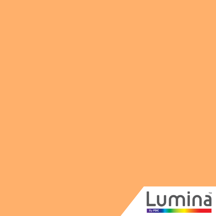 24" Lumina® 4200 Intermediate Adhesive Vinyl