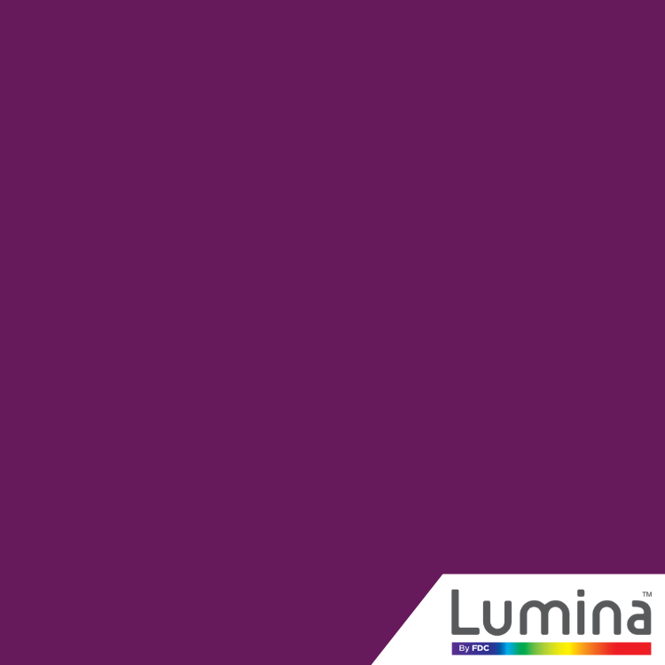 Vinyle adhésif intermédiaire Lumina® 4200 de 24 po 