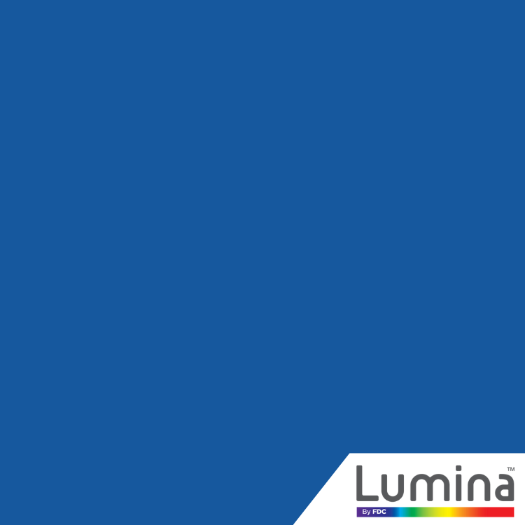 Vinyle adhésif intermédiaire Lumina® 4200 de 24 po 