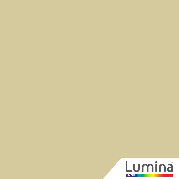 Lumina® 2520 Premium Cast Translucent 48" x 10 Yds