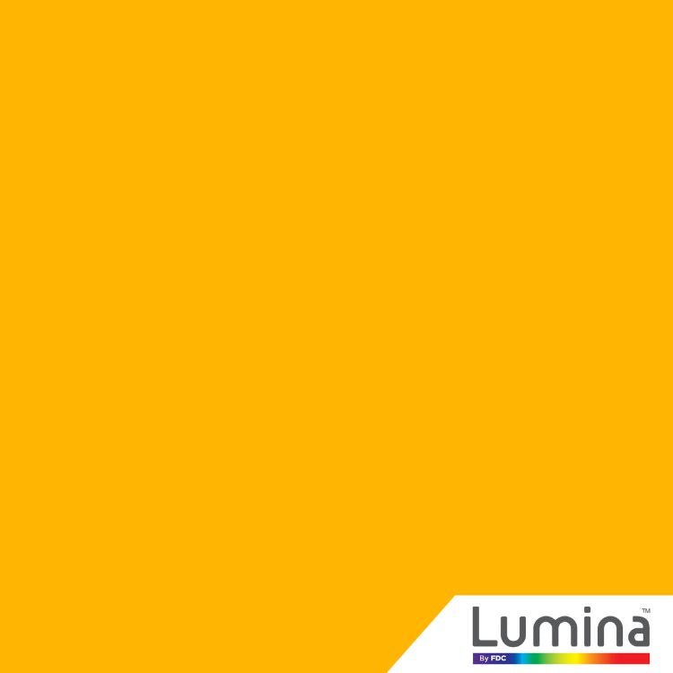 Lumina® 2520 Premium Cast Translucent 48" x 10 Yds