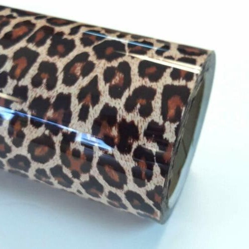 leopardo htv
