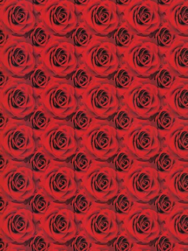 Roses - Valentine's Day HTV