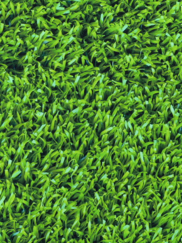 Grass Blades HTV
